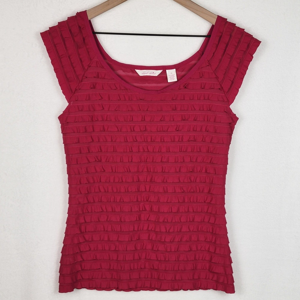 Derek Heart Ruffle Sheer Top Women's M Pink Y2K Coquette Fairycore